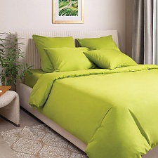 Салатовый постельное бельё из сатина Моноспейс Ecotex 2 спальное с европростыней