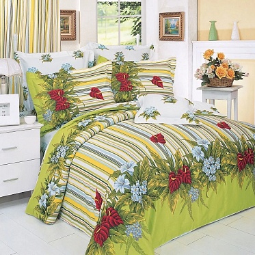 В10 постельное белье из сатина Сайлид 1,5 спальное