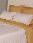BL-38 постельное белье из сатина Сайлид 2 спальное с европростыней