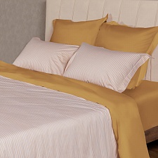 BL-38 постельное белье из сатина Сайлид 2 спальное с европростыней