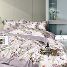 КПБ 2-х сп с европростыней  Сатин  2544