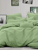 14-0115 (фисташка) постельное белье из страйп-сатина Бояртекс евро