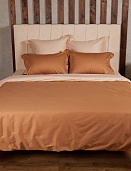 BL-24 постельное белье из сатина Сайлид 2 спальное с европростыней