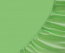 Простыня на резинке трикотажная СВС 180*200*20 салатовый