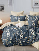 КПБ 2-х сп. Поплин Премиум 6670