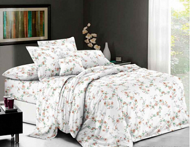 КПБ 2-х сп. Бязь Люкс с европростыней 400111