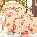 В73 постельное белье из сатина Сайлид евро