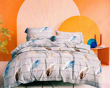 КПБ 2-х сп. Макосатин  0647