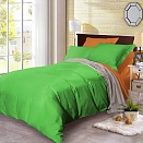 BL-47 постельное белье из сатина Сайлид евро