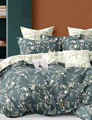 КПБ 2-х сп. Поплин Премиум 6741