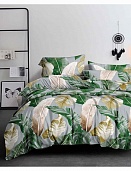 КПБ 2-х сп. Полисатин Pandora 4129 (S/P