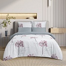 КПБ сем. Аллиум