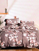 КПБ евро Макосатин  0629